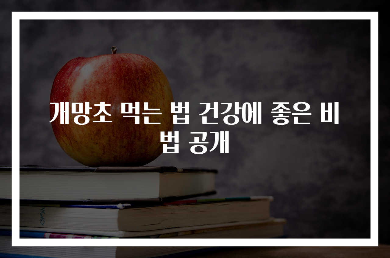 개망초 먹는 법 건강에 좋은 비법 공개