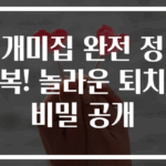 개미집 완전 정복! 놀라운 퇴치 비밀 공개