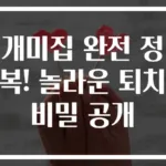개미집 완전 정복! 놀라운 퇴치 비밀 공개