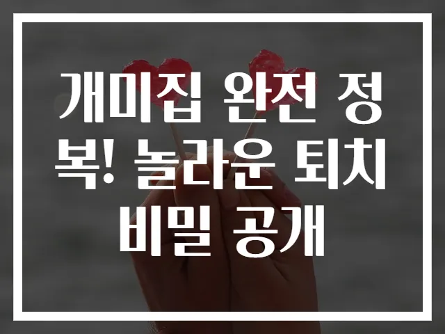 개미집 완전 정복! 놀라운 퇴치 비밀 공개