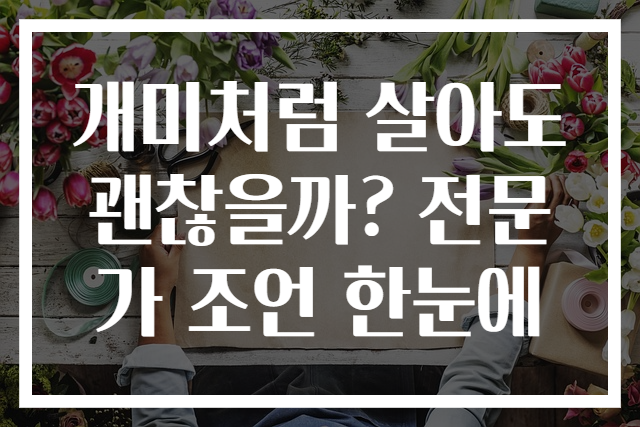 개미처럼 살아도 괜찮을까? 전문가 조언 한눈에