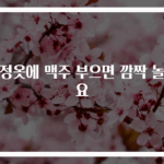 검정옷에 맥주 부으면 깜짝 놀라요