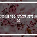검정옷에 맥주 부으면 깜짝 놀라요