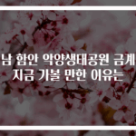 경남 함안 악양생태공원 금계국 지금 가볼 만한 이유는