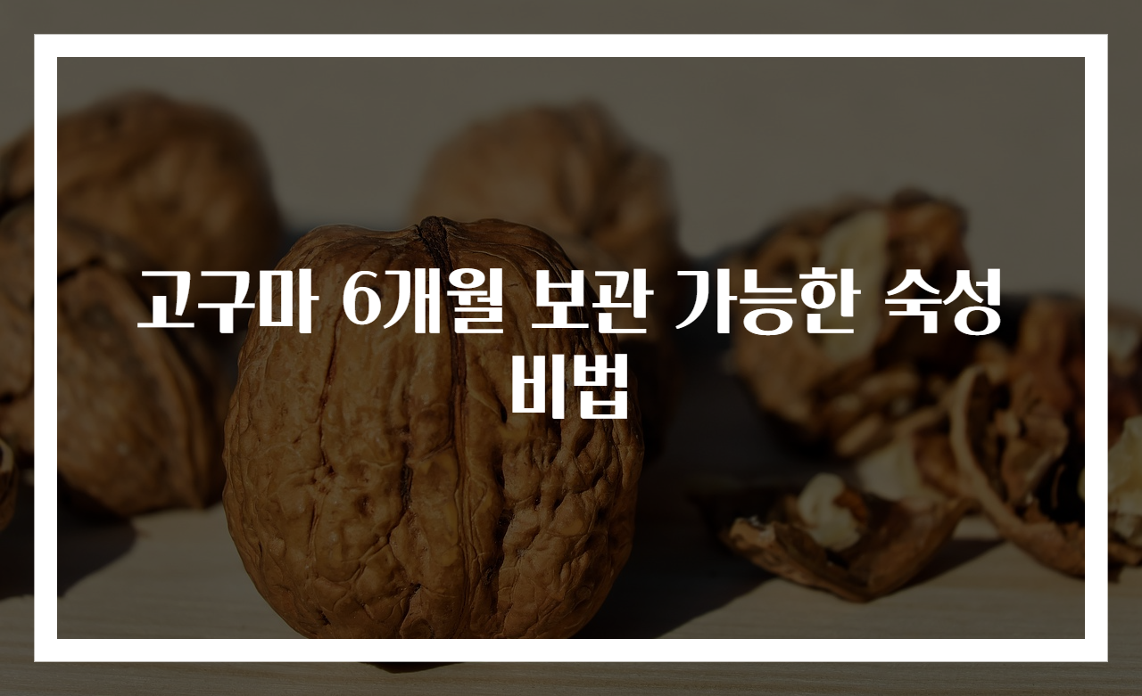 고구마 6개월 보관 가능한 숙성비법