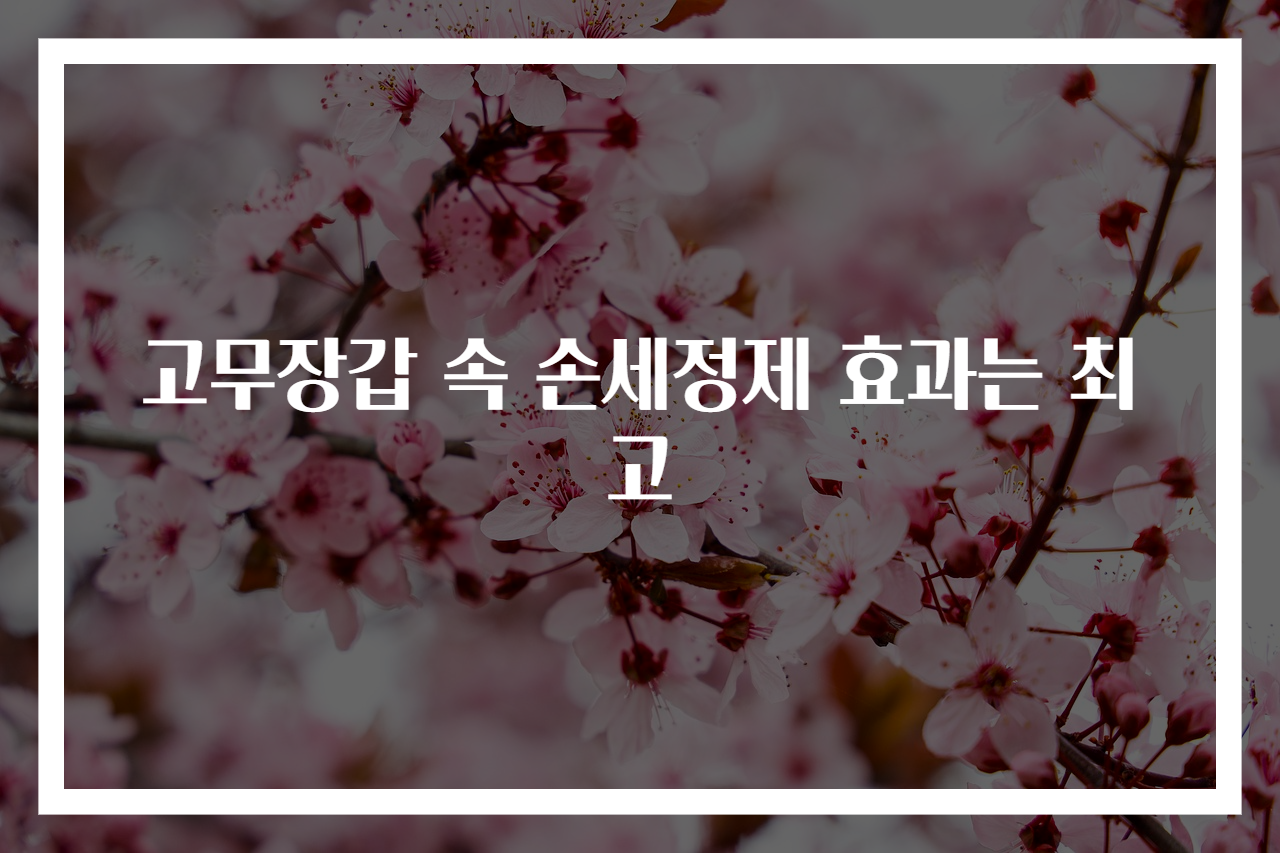 고무장갑 속 손세정제 효과는 최고