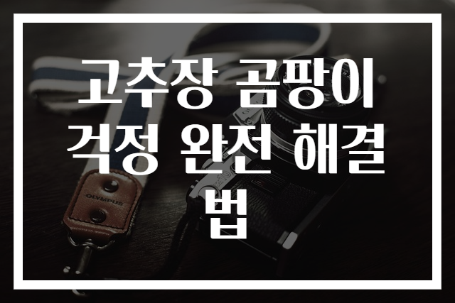 고추장 곰팡이 걱정 완전 해결법