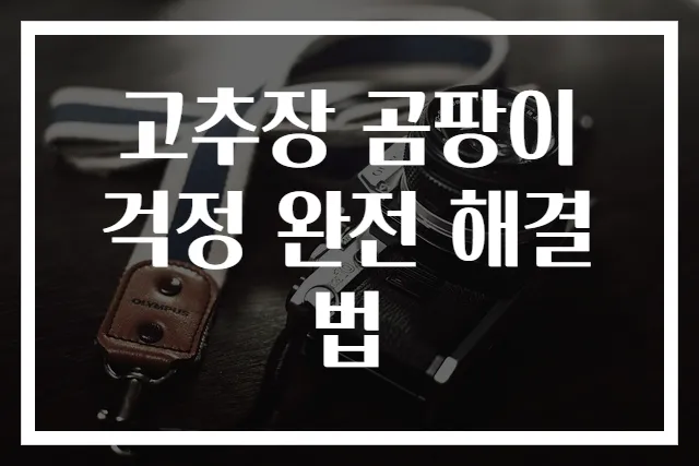 고추장 곰팡이 걱정 완전 해결법