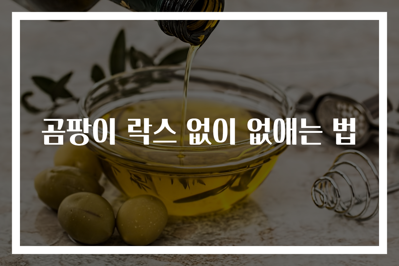 곰팡이 락스 없이 없애는 법