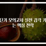 공단기 모의고사 실전 감각 키우는 핵심 전략