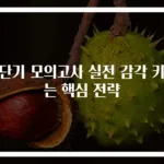공단기 모의고사 실전 감각 키우는 핵심 전략