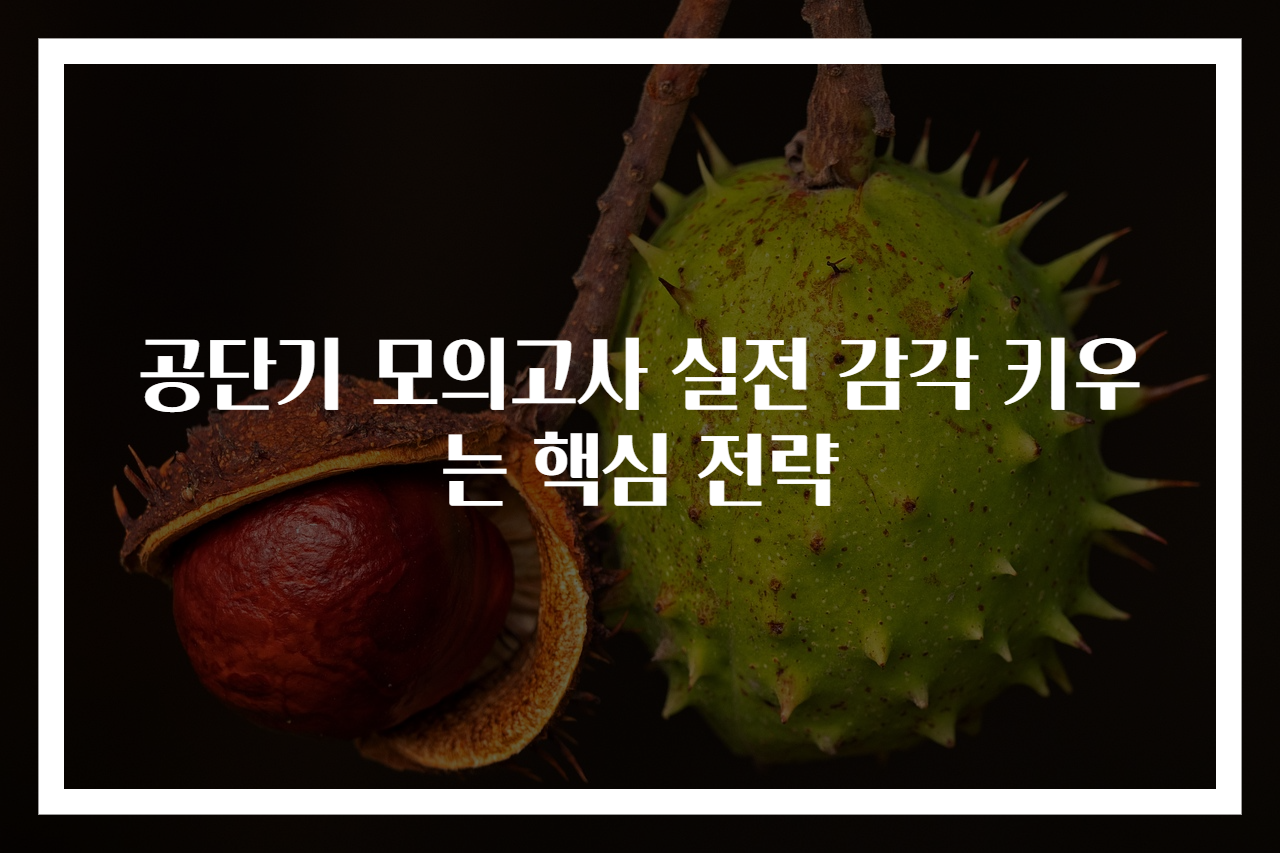공단기 모의고사 실전 감각 키우는 핵심 전략