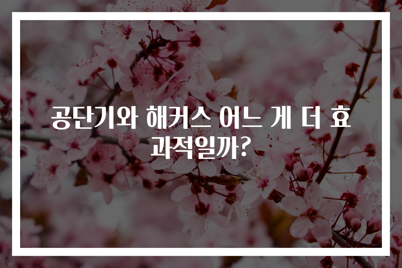 공단기와 해커스 어느 게 더 효과적일까?