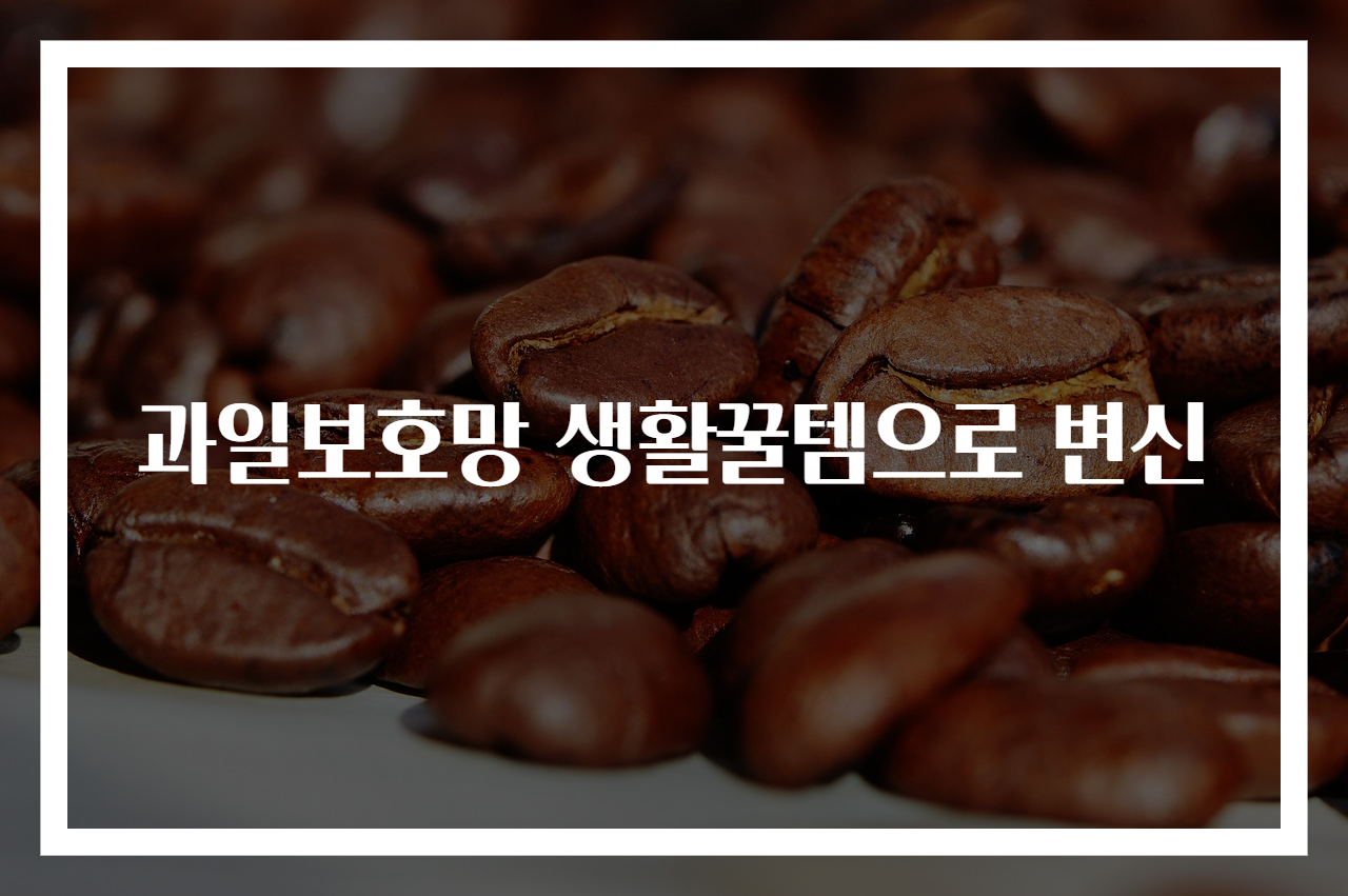과일보호망 생활꿀템으로 변신
