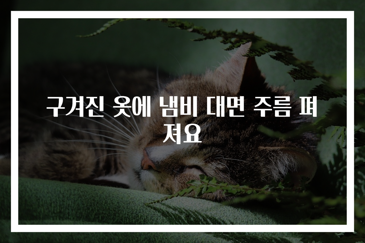 구겨진 옷에 냄비 대면 주름 펴져요