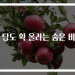 귤 당도 확 올리는 숨은 비법