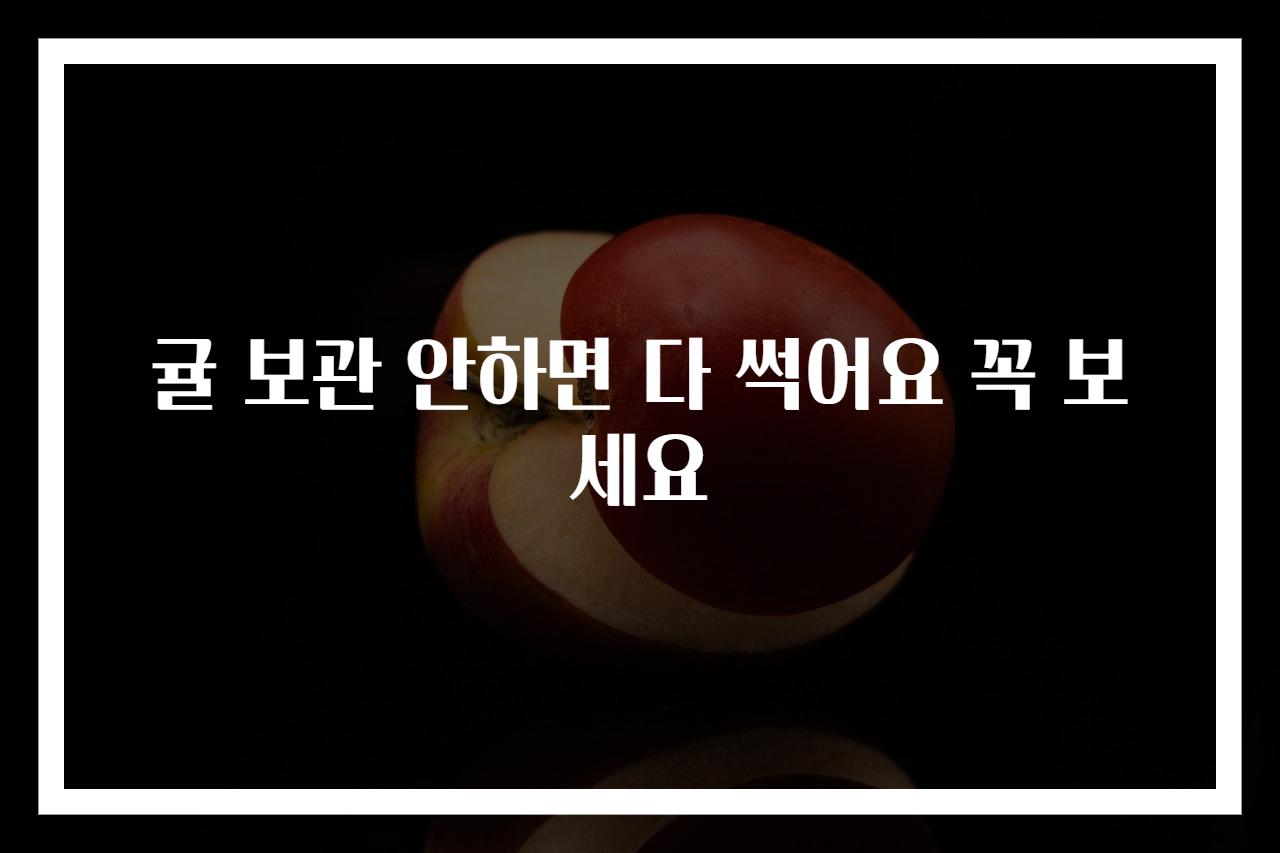 귤 보관 안하면 다 썩어요 꼭 보세요