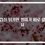 귤껍질 튀기면 별미가 따로 없어요