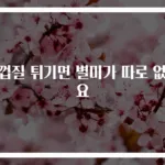 귤껍질 튀기면 별미가 따로 없어요