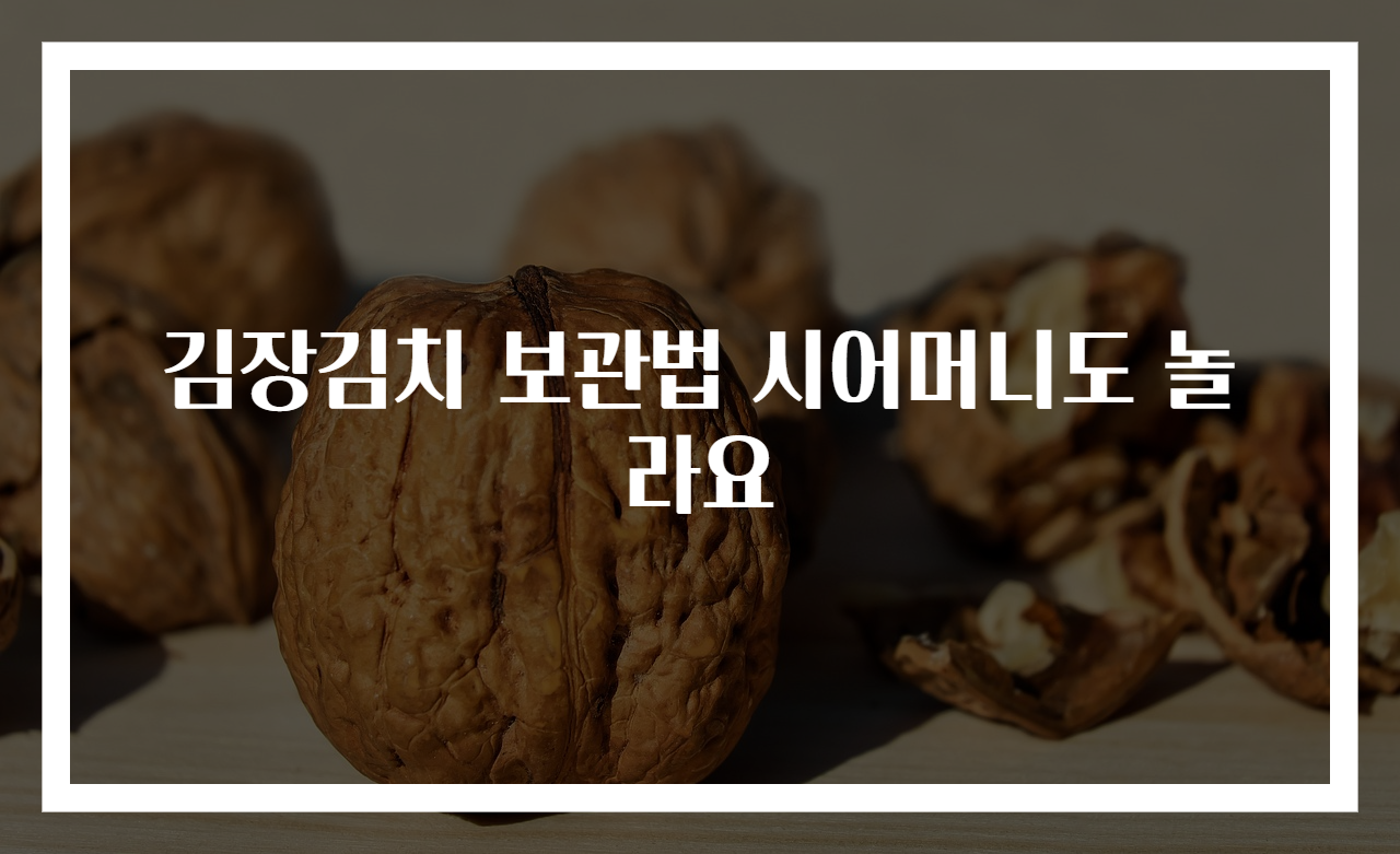 김장김치 보관법 시어머니도 놀라요