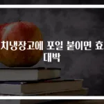 김치냉장고에 포일 붙이면 효과 대박