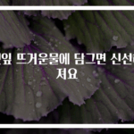깻잎 뜨거운물에 담그면 신선해져요