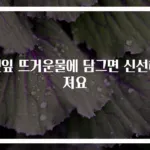 깻잎 뜨거운물에 담그면 신선해져요