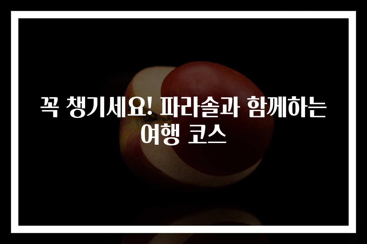 꼭 챙기세요! 파라솔과 함께하는 여행 코스