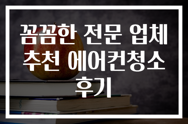 꼼꼼한 전문 업체 추천 에어컨청소 후기