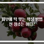 내 피부에 딱 맞는 왁싱 방법 추천 장소는 어디?