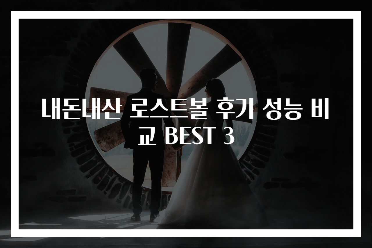내돈내산 로스트볼 후기 성능 비교 BEST 3