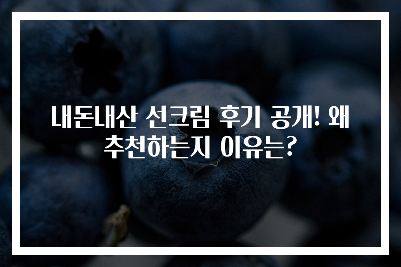 내돈내산 선크림 후기 공개! 왜 추천하는지 이유는?