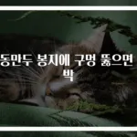 냉동만두 봉지에 구멍 뚫으면 대박