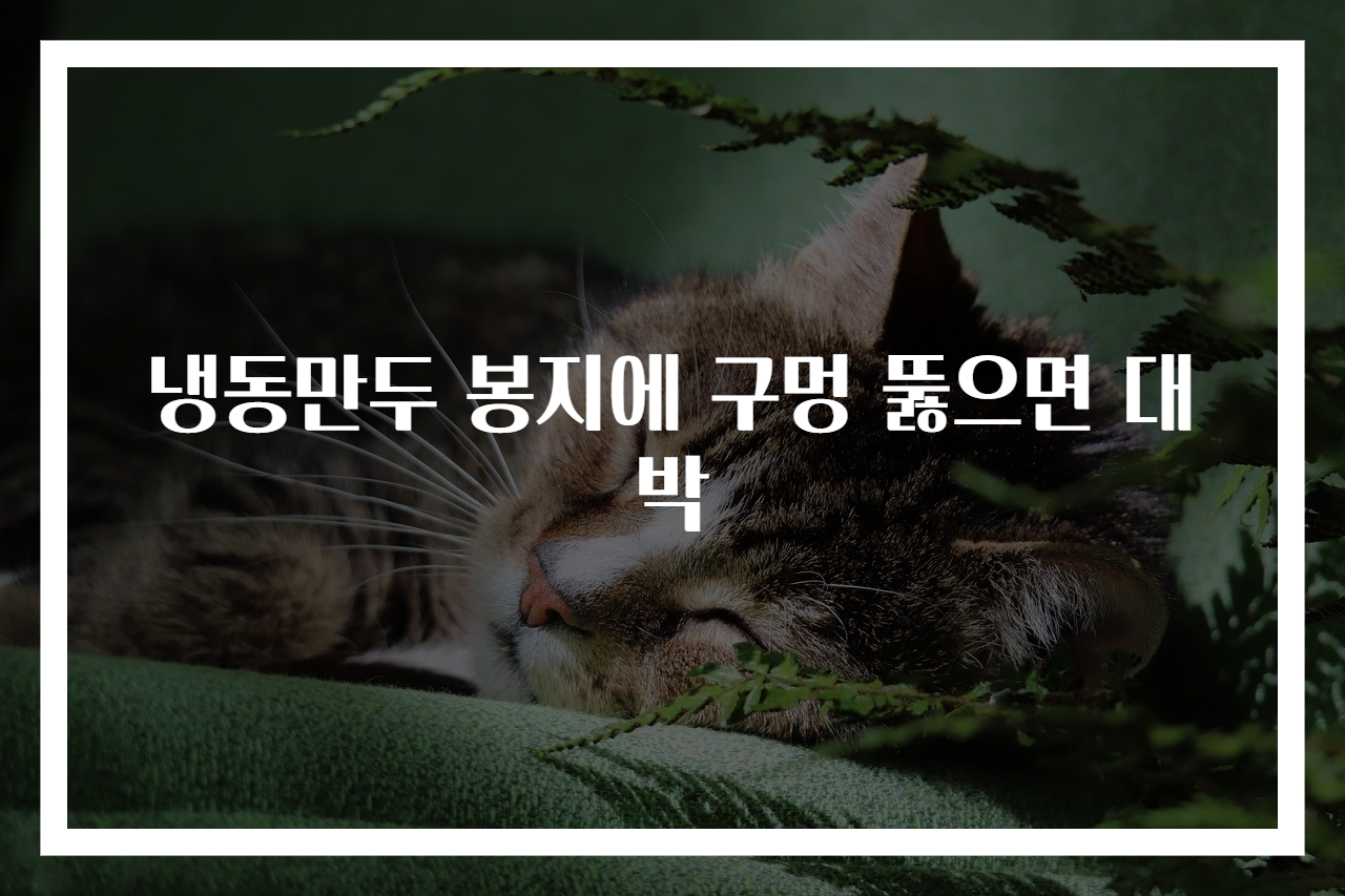 냉동만두 봉지에 구멍 뚫으면 대박