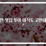 냉면 맛집 투어 아직도 고민돼요?