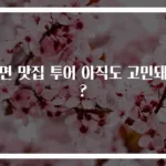 냉면 맛집 투어 아직도 고민돼요?