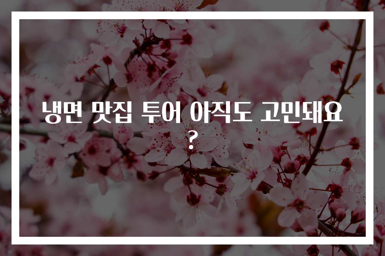 냉면 맛집 투어 아직도 고민돼요?