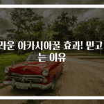 놀라운 아카시아꿀 효과! 믿고 먹는 이유