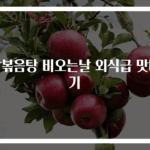닭볶음탕 비오는날 외식급 맛내기