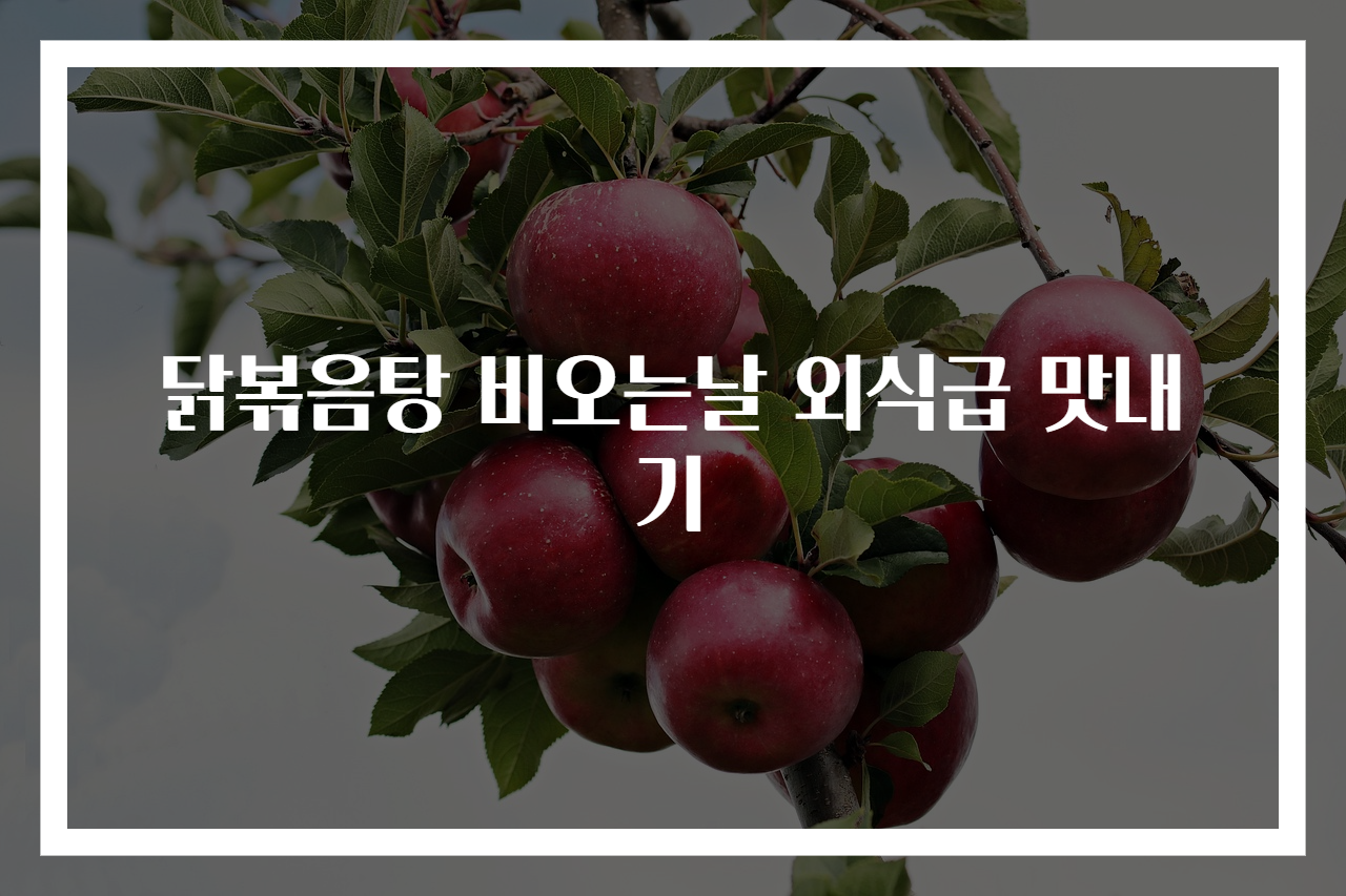 닭볶음탕 비오는날 외식급 맛내기