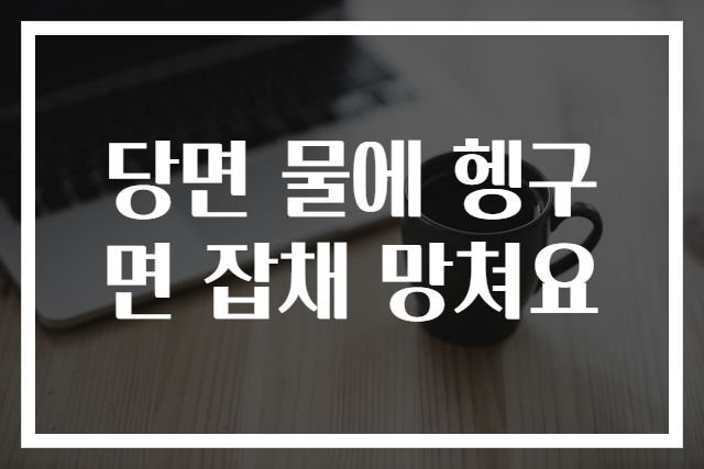 당면 물에 헹구면 잡채 망쳐요