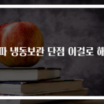 대파 냉동보관 단점 이걸로 해결