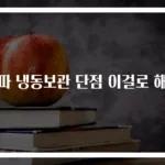 대파 냉동보관 단점 이걸로 해결