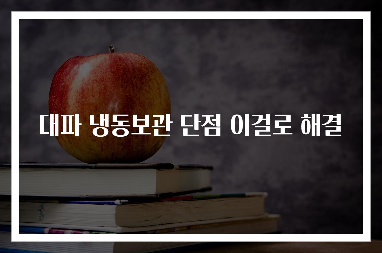 대파 냉동보관 단점 이걸로 해결