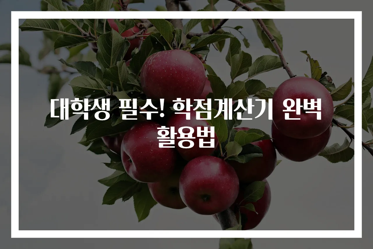 대학생 필수! 학점계산기 완벽 활용법