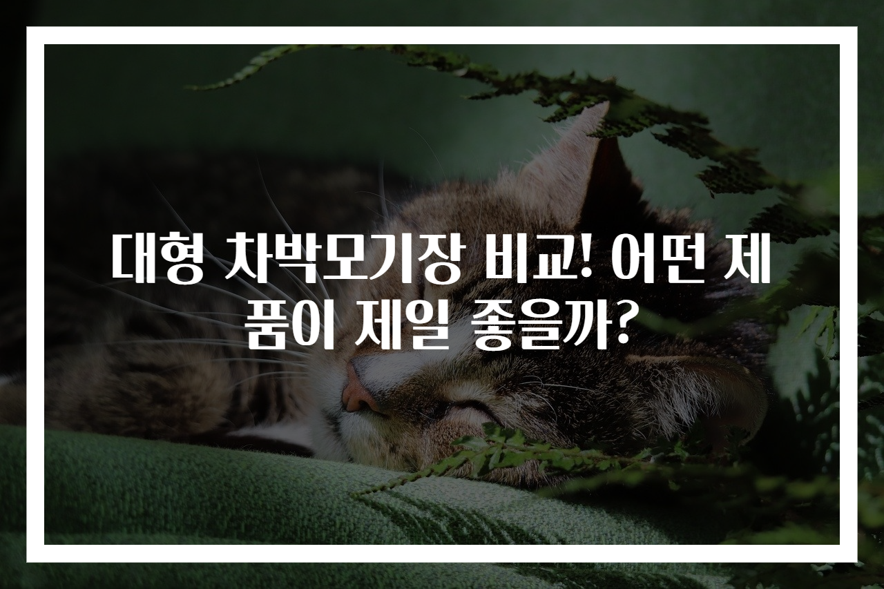 대형 차박모기장 비교! 어떤 제품이 제일 좋을까?