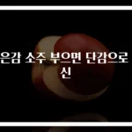 떫은감 소주 부으면 단감으로 변신