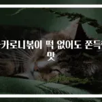 마카로니볶이 떡 없어도 쫀득한 맛