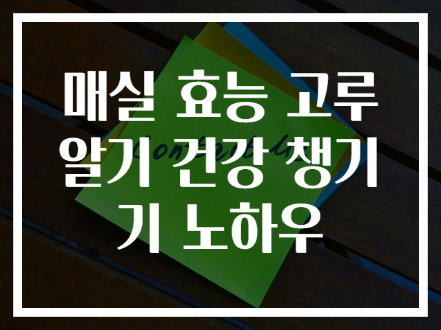 매실 효능 고루 알기 건강 챙기기 노하우