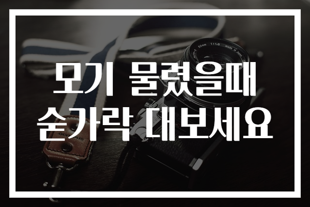 모기 물렸을때 숟가락 대보세요